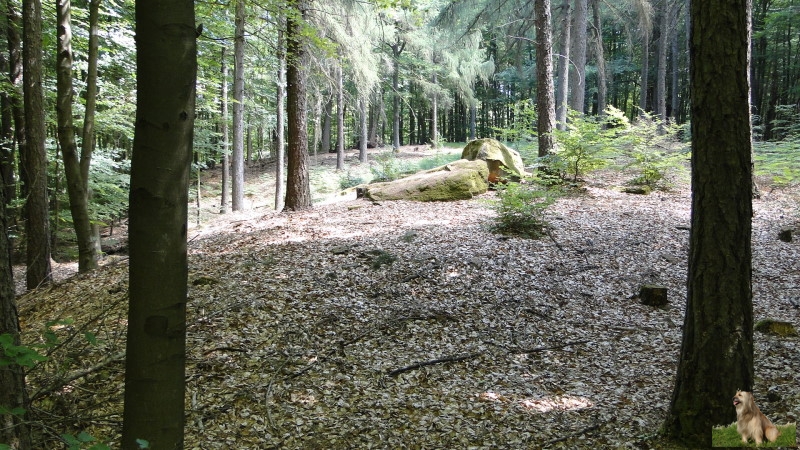 Ritterstein Nr. 145-5 Horterkopf Schanze 1793-94.JPG - Ritterstein Nr.145  Horterkopf Schanze 1793-94                               